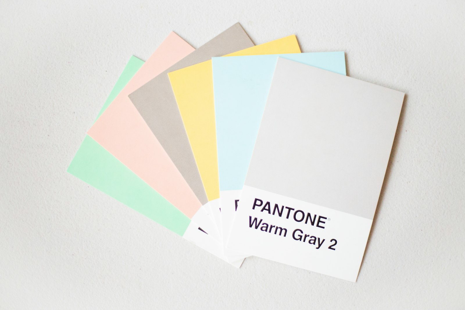 Planche de direction artistique : couleurs et typographies